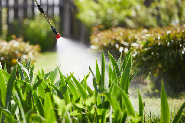 24/7 Emergency Mosquito Control experts in Malverne, NY